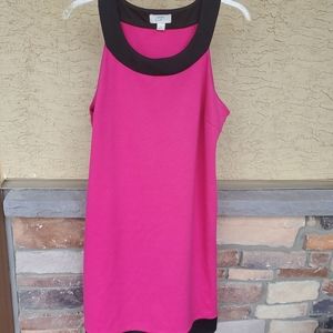 Ann Taylor Loft magenta pink shift dress